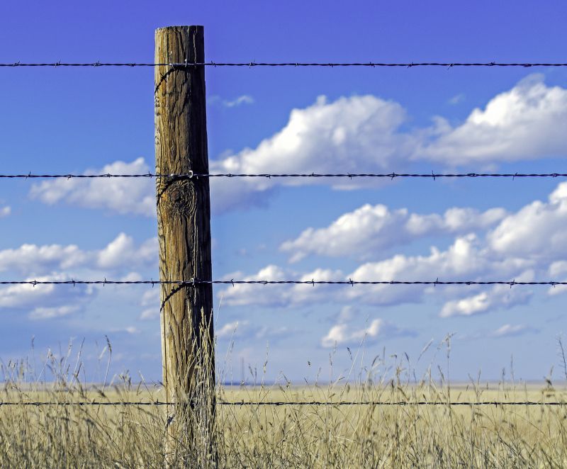 Boundary Wire Installation