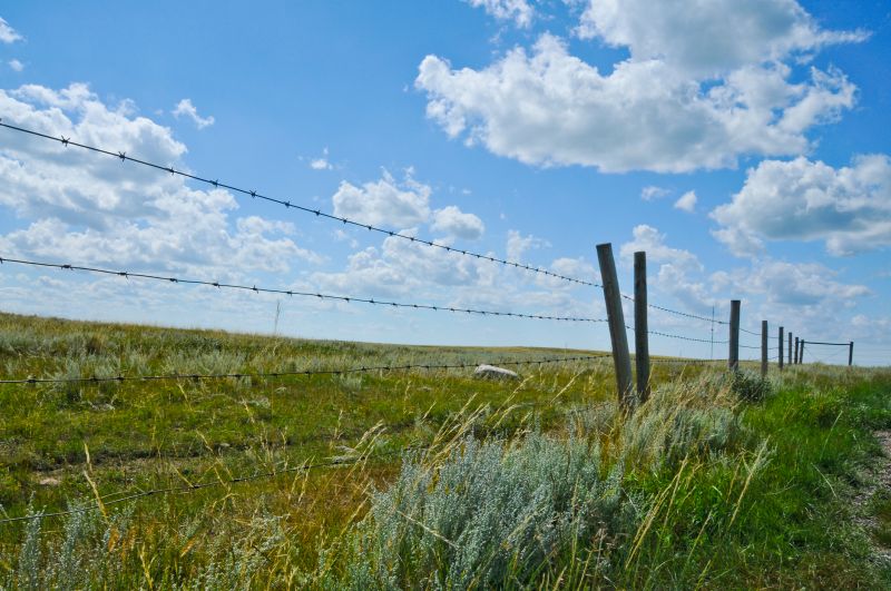 Boundary Wire Installation